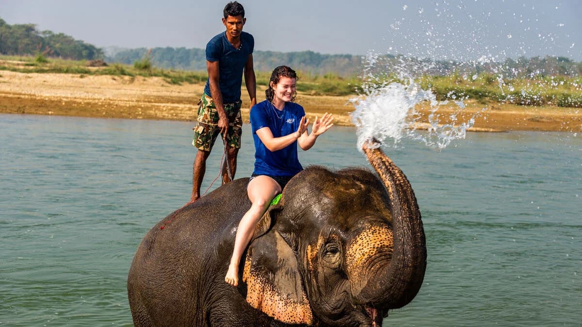 Chitwan elephant bath