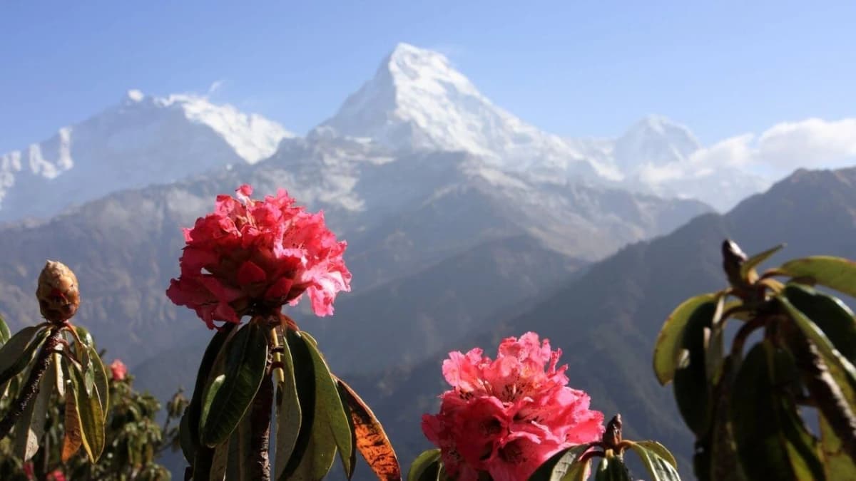 Top 10 Reasons to Travel Nepal