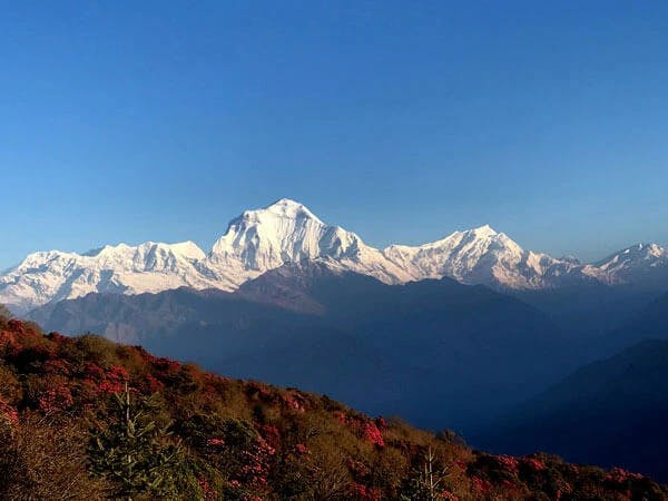 Dhaulagiri