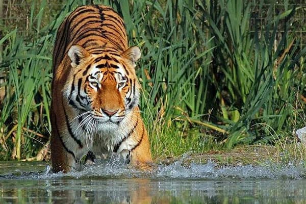 Nepal Tour Packages: Customized Journeys Tailored for Every Explorer in 2024