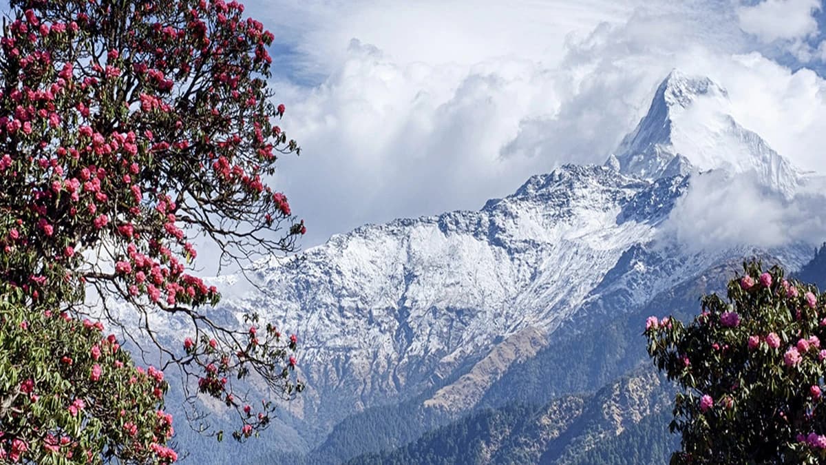 Annapurna Region Trekking