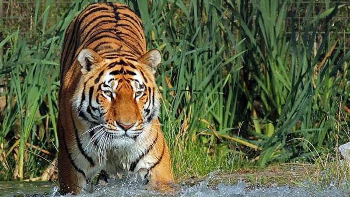 Nepal Tour Packages: Customized Journeys Tailored for Every Explorer in 2024