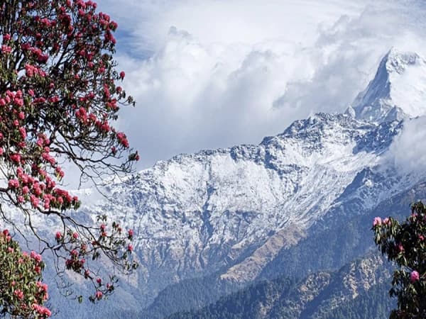 Annapurna Base Camp 1