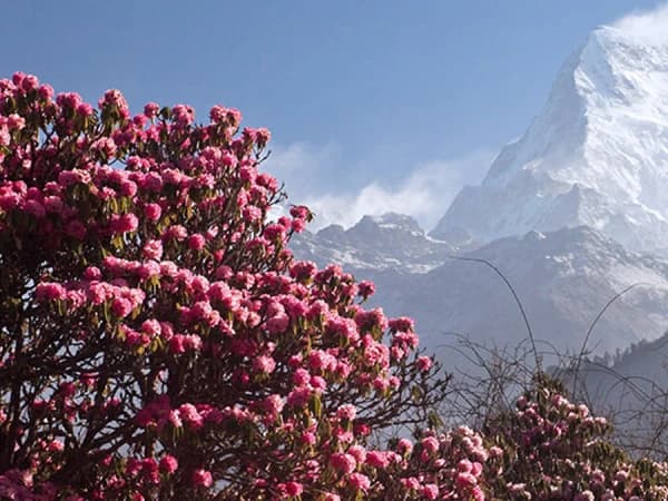 Annapurna Region Trek 1
