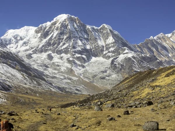 Mt. Annapurna